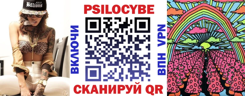 закладка  Саратов  Галлюциногенные грибы Psilocybe 